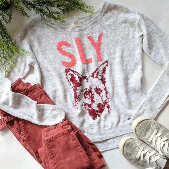 Hollister Sweaters - {Hollister} sly fox pullover sweater